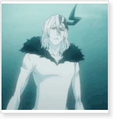 Bleach Hollowfied Tensa Zangetsu Cosplay