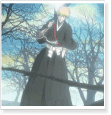 Bleach Ichigo Kurosaki Soul Reaper Cosplay