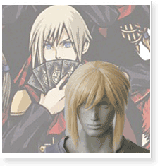 Final Fantasy Ace Cosplay Wig