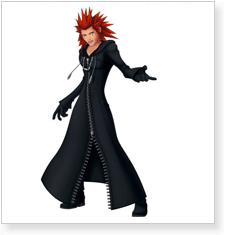 Kingdom Hearts 2 Organization XIII 13 Cosplay