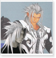Kingdom Hearts Ansem Cosplay Wig