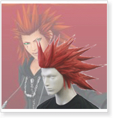 Kingdom Hearts Axel Cosplay Wig