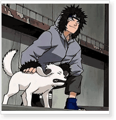 Naruto Kiba Inuzuka Cosplay