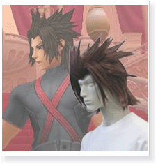 Kingdom Hearts Birth by Sleep Terra Cosplay Wig