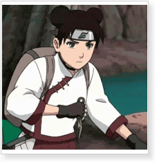 Naruto Shippuden Tenten Cosplay