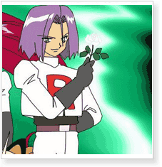 Pokemon Team Rocket James Cosplay