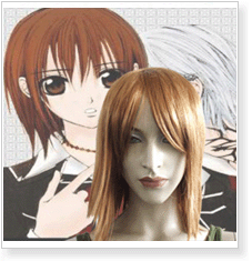 Vampire Knight Day Class Yuki Cross Cosplay Wig
