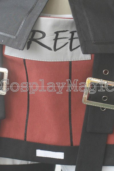 Guilty Gear Xrd Sol Badguy Cosplay - Image 14