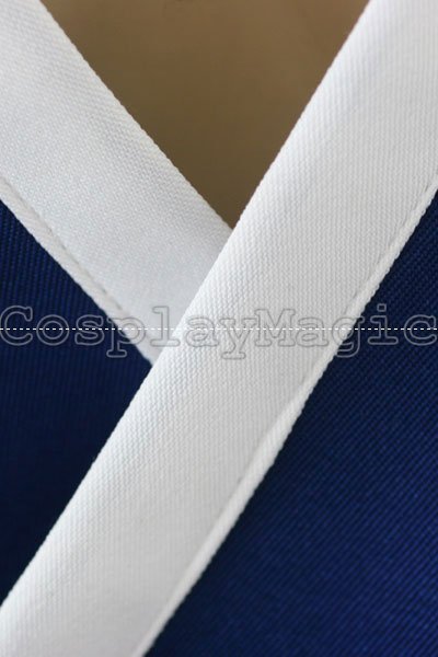 Dead or Alive Kasumi Blue Cosplay - Image 8