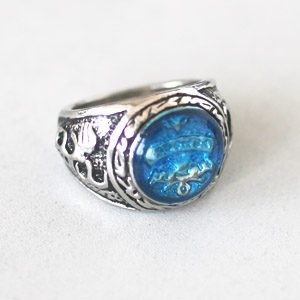 Katekyo Hitman Reborn! Sawada Tsunayoshi Ring